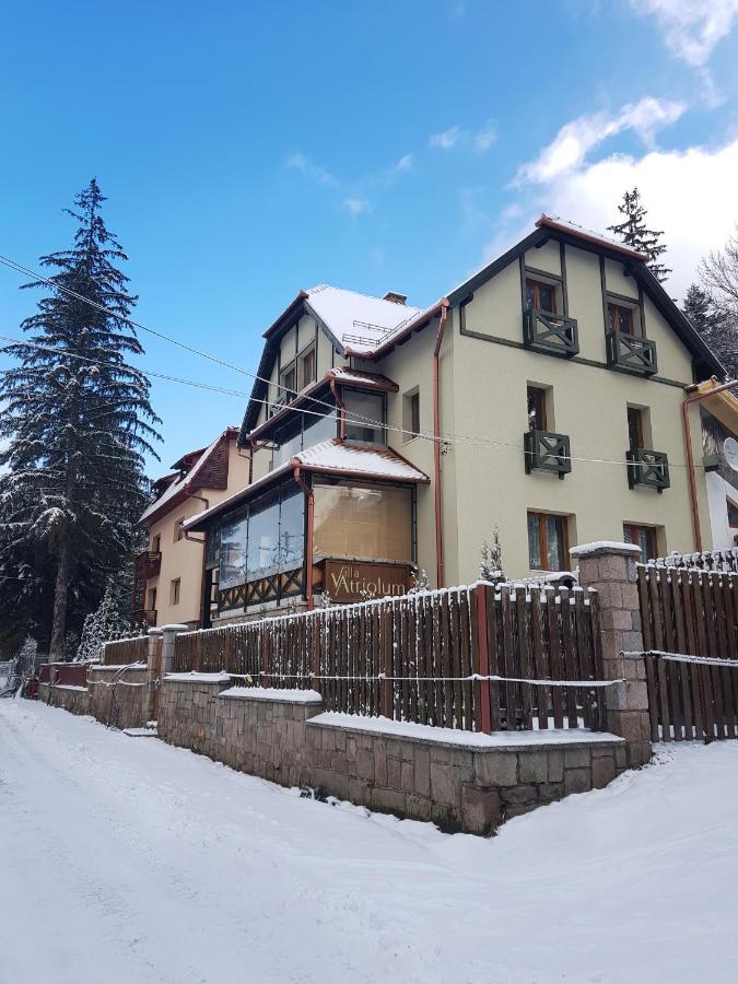 Villa Atriolum BaileTusnad Buitenkant foto